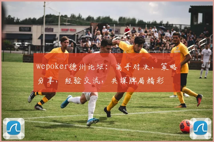 wepoker德州论坛：高手对决，策略分享，经验交流，共谋牌局精彩