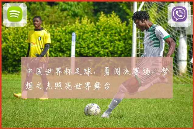 中国世界杯足球，勇闯决赛场，梦想之光照亮世界舞台