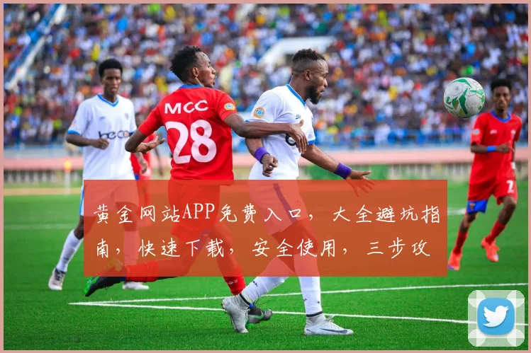 黄金网站APP免费入口，大全避坑指南，快速下载，安全使用，三步攻略，必看