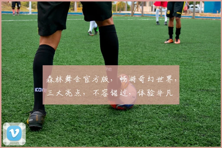 森林舞会官方版，畅游奇幻世界，三大亮点，不容错过，体验非凡