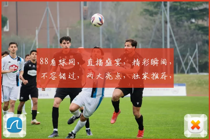 88看球网，直播盛宴，精彩瞬间，不容错过，两大亮点，独家推荐，尽享激情
